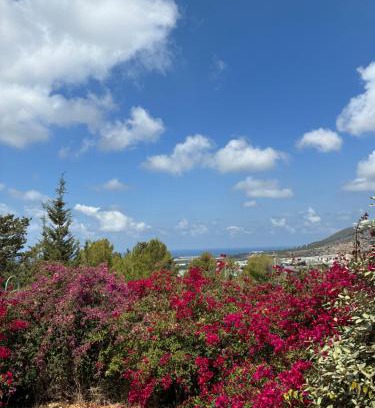 Shlomi House | BEACH BAY suit