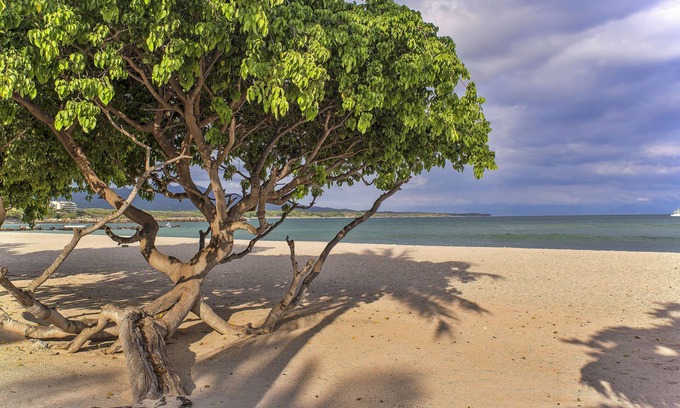 Punta de Mita Condo | Beach Front Unit, Ground Floor, Walk to Beach and Restaurants, Quiet Location
