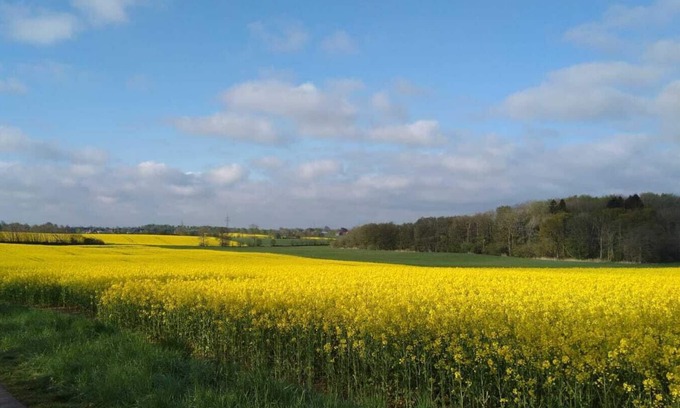 Gremmerup Apartment | Beach holiday with dog near Glücksburg