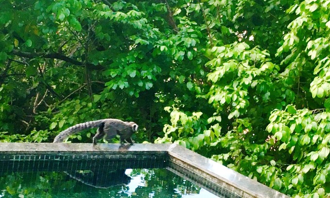 Loteamento Aguas Compridas House | Beach house with hydro pool with spectacular views