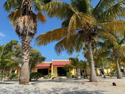 Celestun Apartment | Beachfront department Celestun