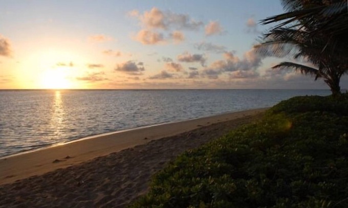 Punaluu Cottage | Beachfront Studio Cottage