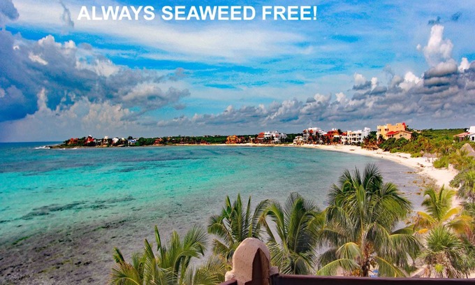 Akumal Condo | Beachfront, Stunning Huge Pool, Great Internet