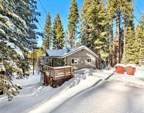 Country Club Estates House | Bear Haus - Sledding At Cabin - Forest Views - Foosball