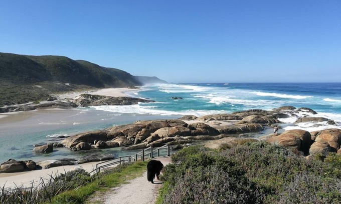 Denmark House | Bear's Den - a picturesque sanctuary