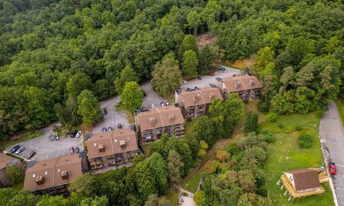 Sevierville Condo | Bearadise Mountain Getaway