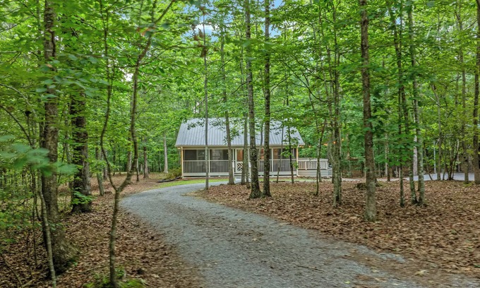 Mentone Cabin | Bearly Behaving with Hot Tub n Sleeps 6