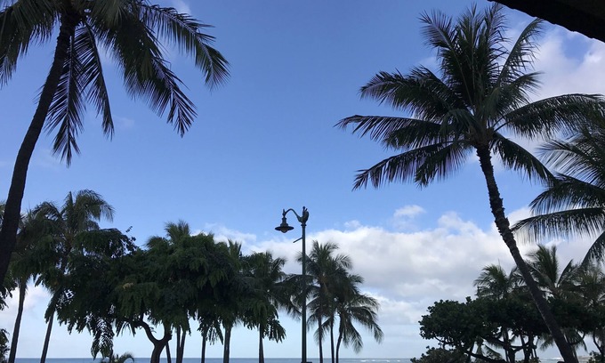 Diamond Head - Kapahulu - St. Louis Condo | Beautiful Condo in the heart Diamond Head Honolulu, HI