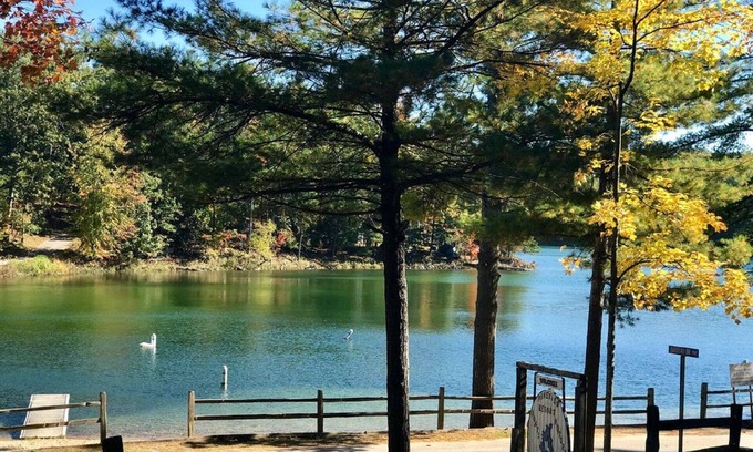 Mayfield Cottage | Beautiful Cottage on Arbutus Lake, Traverse City, MI 49696