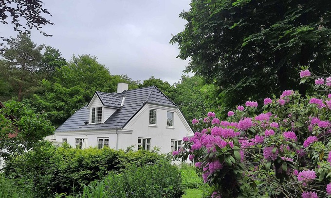 Roslev House | Beautiful house in the forest and by the fjord