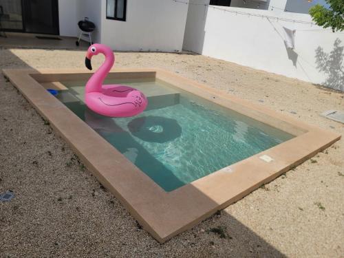 Conkal House | Beautiful House Private Pool 2 min Sitpach Family