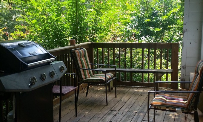 Bogart House | Beautiful Lake View Property! Long term or Monthly rentals welcome!