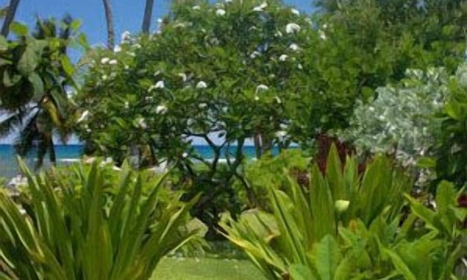 Mokuleia House | Beautiful Oceanfront Hideaway