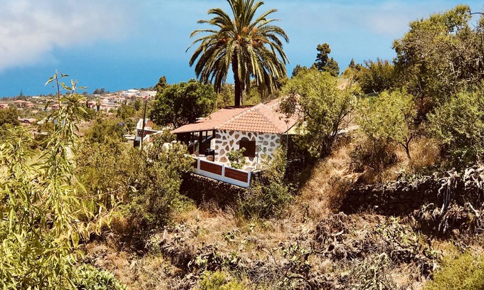 Puntagorda Cabin | Beautiful quiet comfortable cottage with ocean view.