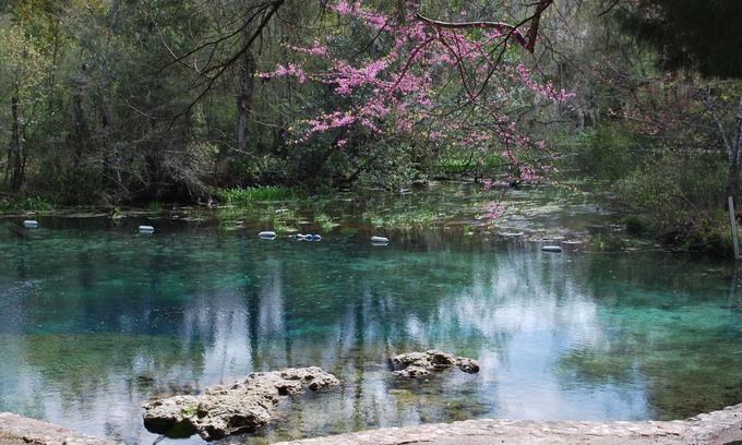 Jasper Cabin | Beautiful river-front cabin overlooking the Upper Suwanee River