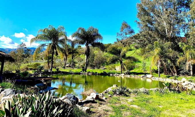 Fallbrook House | Beautiful, spacious gated ranch home on 12+ acres with big koi pond & pickleball
