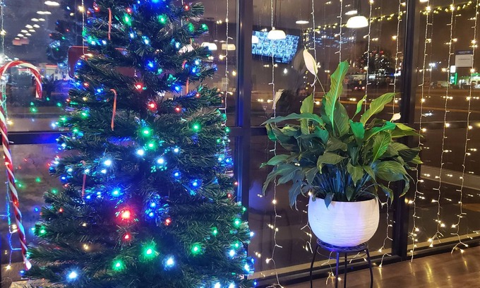 Yemassee Hotel | Best Western Point South