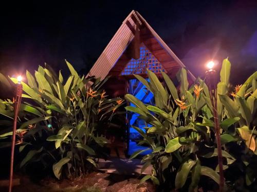 Cariari Other | Bewak CR