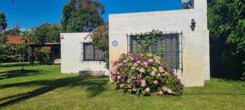 La Paloma House | Bianca Colomba