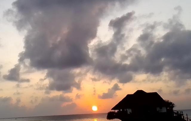 Pingwe House | Bibi Mrembo Guesthouse