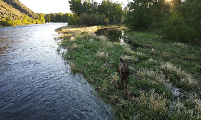 Glen Cabin | Big Hole Riverfront Retreat – A Secluded Fishing Paradise with 4 Cabins