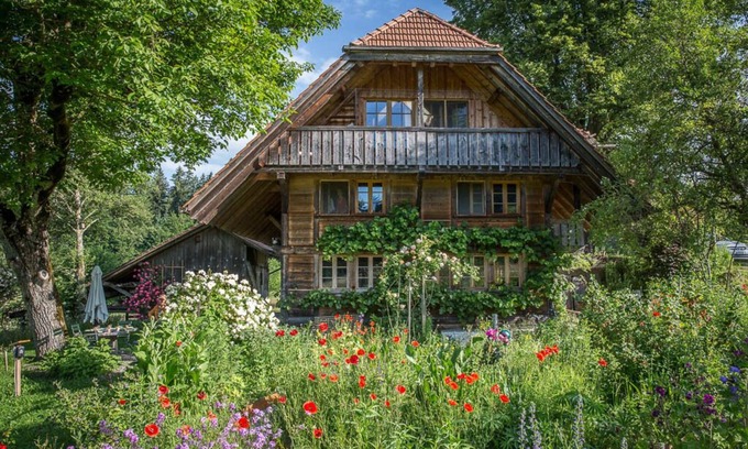 Rueggisberg Apartment | Biodiverse & organic with pond & sauna, regional cuisine on request, coaching