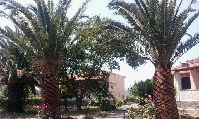 Skala Kallonis House | Bird Watching Oasis Skala Kallonis