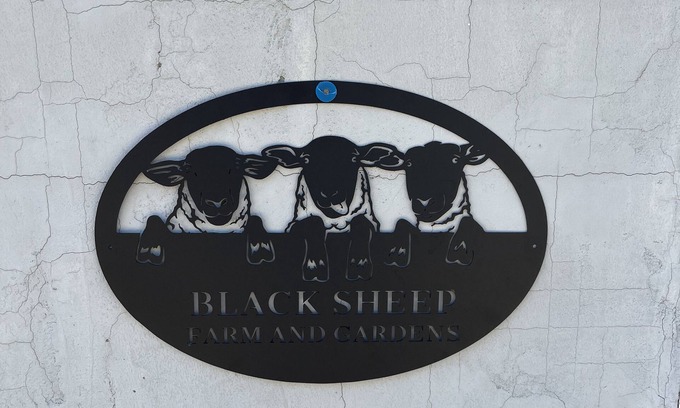 Boswell Apartment | Black Sheep Farm and Gardens