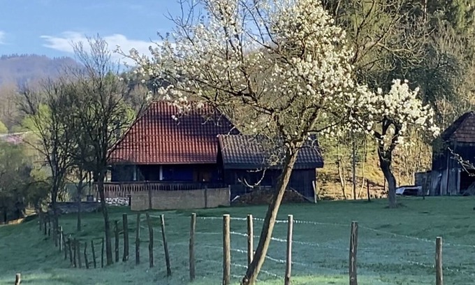 Viseu de Sus House | Blaues Haus im Schönen Weintal, Inmitten Einer Fantastischen Kulturlandschaft