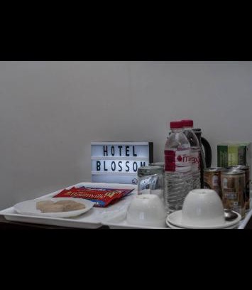 Rajbagh House | Blossoms