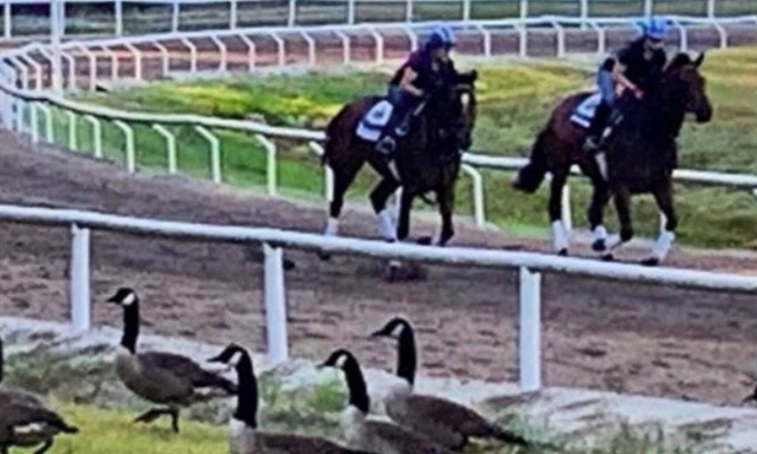 Camden Cabin | Blue Barn Lodge: Unit 1 Lodge of Tranquility