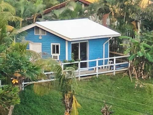 Jonesville House | Blue haus