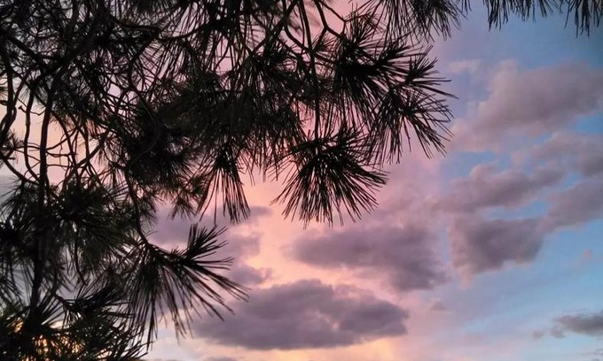 Wirreanda House | Bluebush Shed @ Cradock