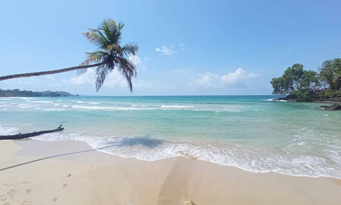 Big Creek Bed & Breakfast | Bocas del Toro, B&B Bocas del Toro, Hotel Bocas del Toro