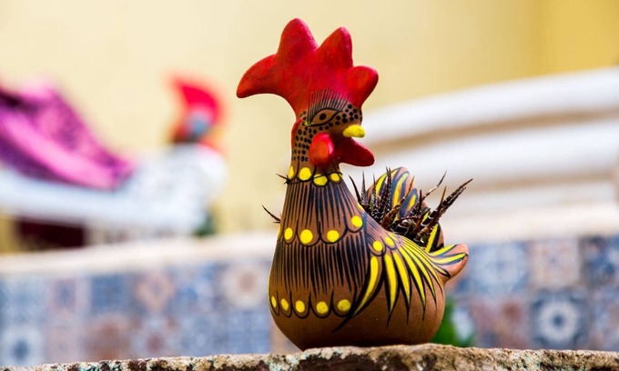 Zona Centro House | Bonita Finca en el centro historico de San Cristobal 5 habitaciones hasta 20 per