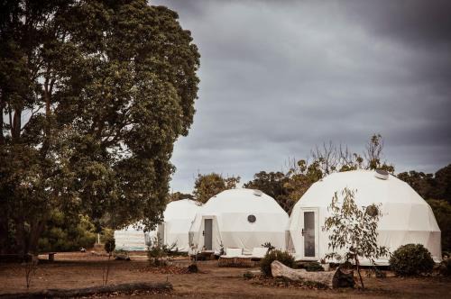 Augusta Other | Boogaloo Camp