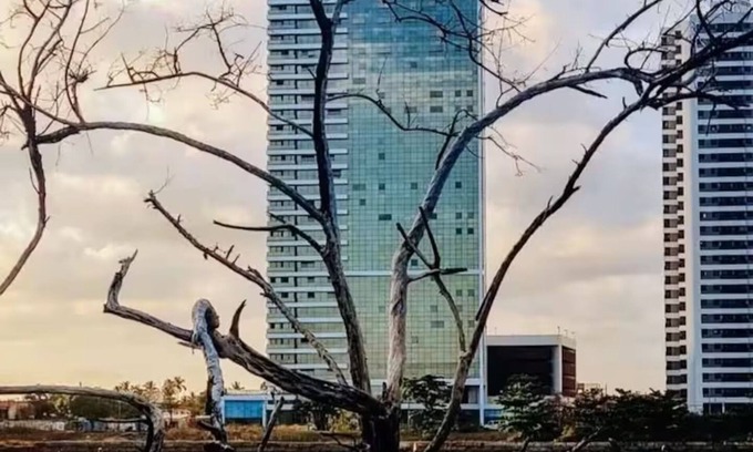 Barra de Jangada Apartment | Luxury Paiva Flat