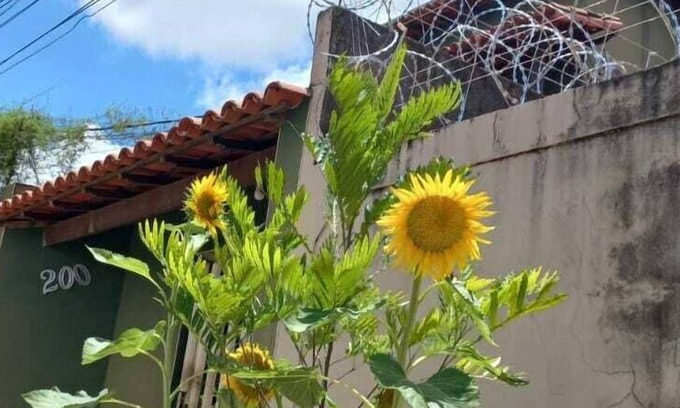 Paracatu Hotel | Brasileirinho Pousada e Refeições