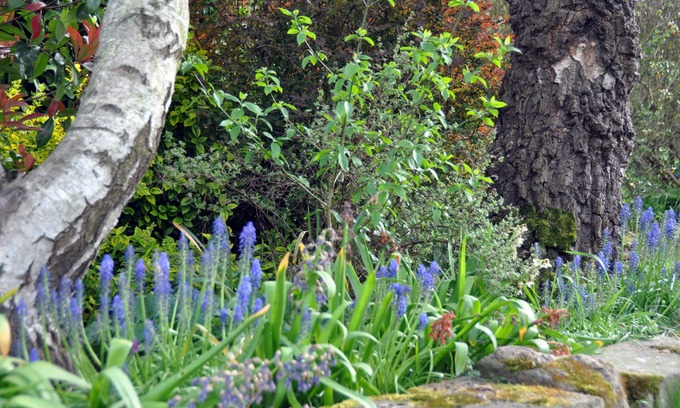 Mansfield House | Bridleways Guest House & Holiday Homes