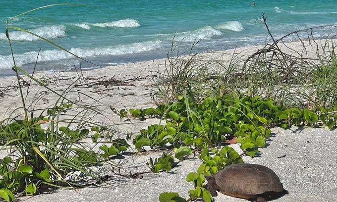 Del Sega Condo | Bring Your Boat! Enjoy waterfront living in this S