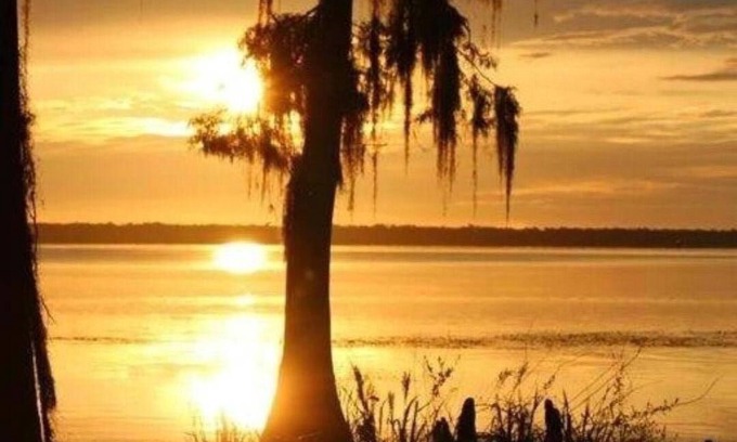 Palatka House | Bring your Boat to our River House and enjoy the beautiful St Johns River.