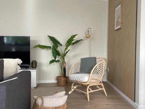 Sao Roque House | Brooklyn&Fennel House