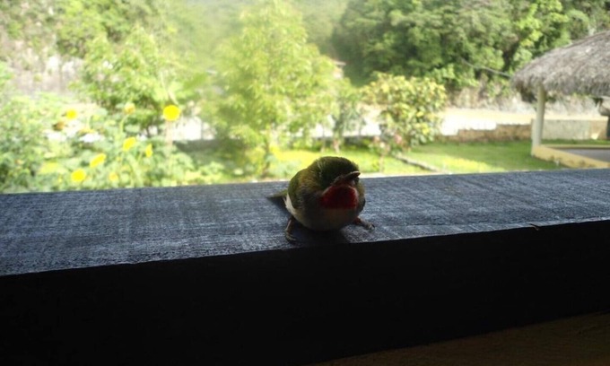 San Jose de Ocoa House | Bungalow directly on the river Bungalow directly on the river with bathing area