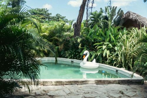 Samana Cabin | Bungalows India, El Valle, Samana