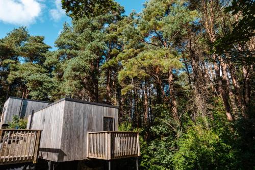 Coleraine Cabin | Burrenmore Nest - Luxury Forest Lodges with Hot Tubs & Sauna