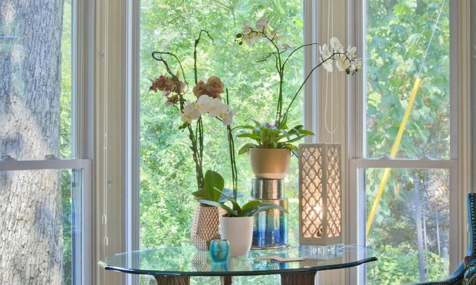 Hot Springs Apartment | Butterfly Suite on Lake Hamilton free use of kayaks