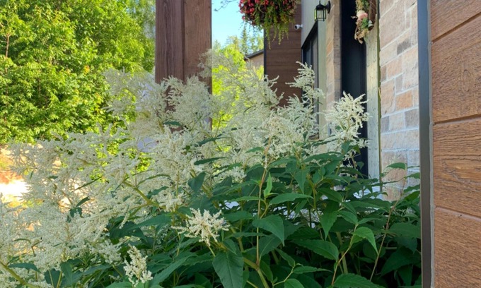 Lac-Swell Cottage | Warm Boho Chalet | Hot Tub | Lake | Fireplace | AC