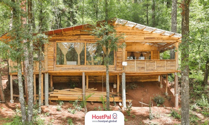 Acaxochitlan Apartment | Cabaña Chalchopan | Adrenalina en el bosque ⸙