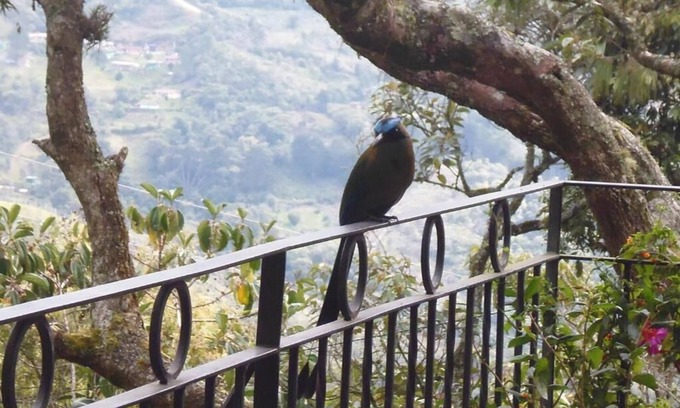Los Nomos Cabin | Cabaña EN Santa Elena, Ideal Para Estadías DE Trabajo "refugio EN LAS Nubes"