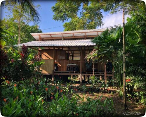 Arusi House | Cabaña Espavé - Arusí, Chocó